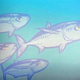 Seashore - school of fish