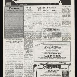 Village News 1991 June