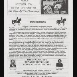 Village News 2001 November