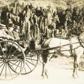 Horse and gig with three men