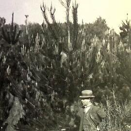 Man in front of tree
