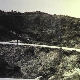 Moutere Hills plantation 