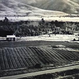 Kikiwa Nursery Motupiko Valley