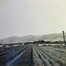 Nursery at Golden Downs