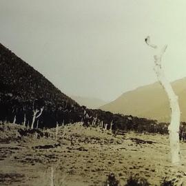 From Lewis Saddle looking South down Lewis Valley Canterbury