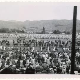 Nelson A & P Association Show Finale