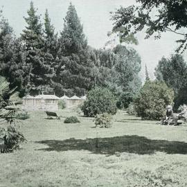 The recreation ground at Nelson