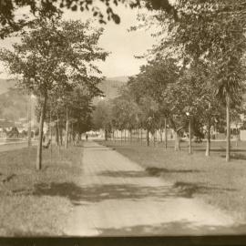 Cycle track in Nelson