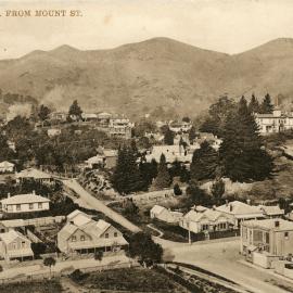 View of Nelson from Mount Street
