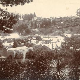 View of Nelson homes