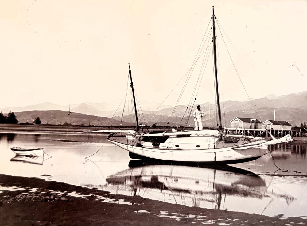 Oyster at the wharf 1904