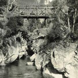 Scenic view of a wooden bridge