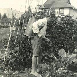 Child spraying vegetable garden 