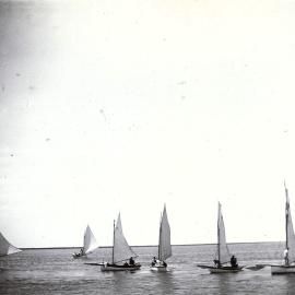 Regatta in Nelson