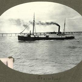Steamer Stormbird