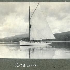 Arawa 1925