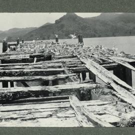 Seagulls on a rotting wharf Whangaroa Harbour