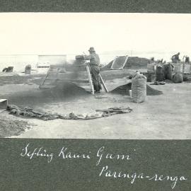 Sifting kauri gum at Paringaringa