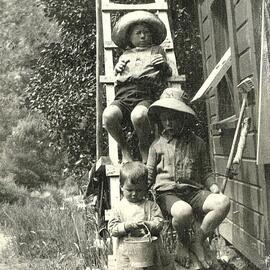Trio of children on a ladder