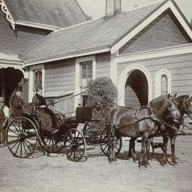 Woman driving a carriage with two horses