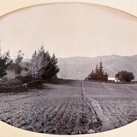 Fields with hills in the background