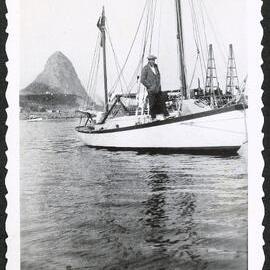 The Oyster in New Plymouth