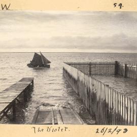 The Violet near a wooden structure