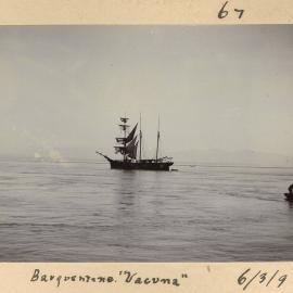 Barquentine Vacuna