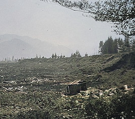 1929 Murchison Earthquake