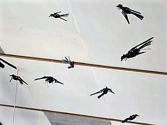 Ngā Manu by Tania Corbett.